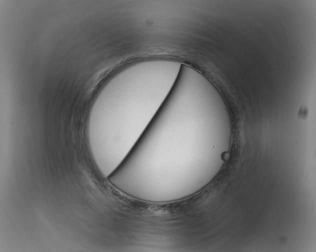 X0000115580640200911100955