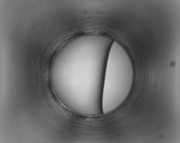 X0000115580641200911100955