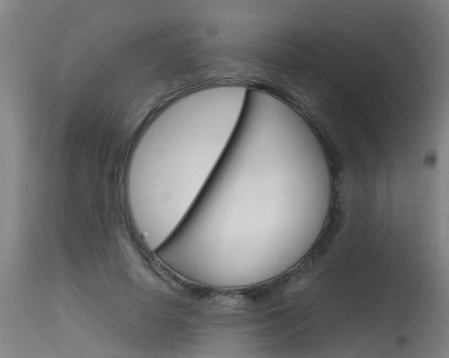 X0000115580642200911100955