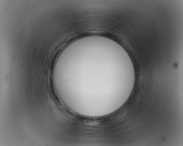 X0000115580643200911100955