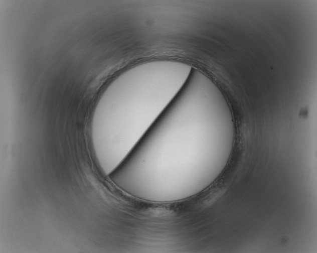 X0000115580644200911100955