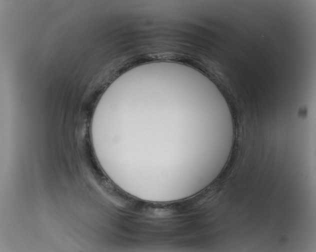 X0000115580645200911100955