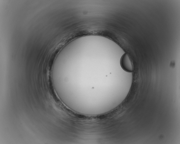 X0000115580646200911100955