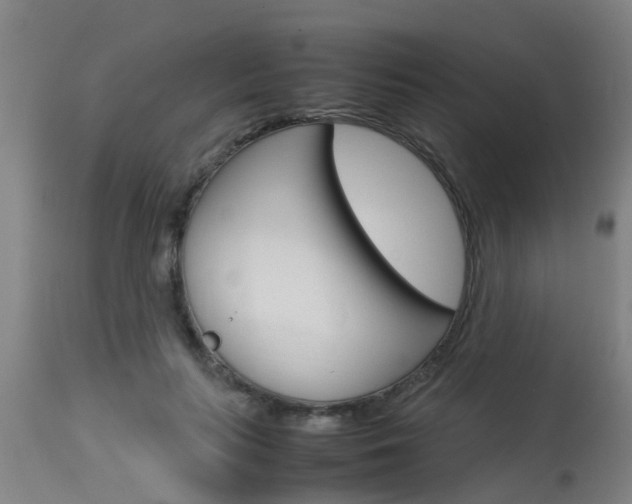 X0000115580647200911100955