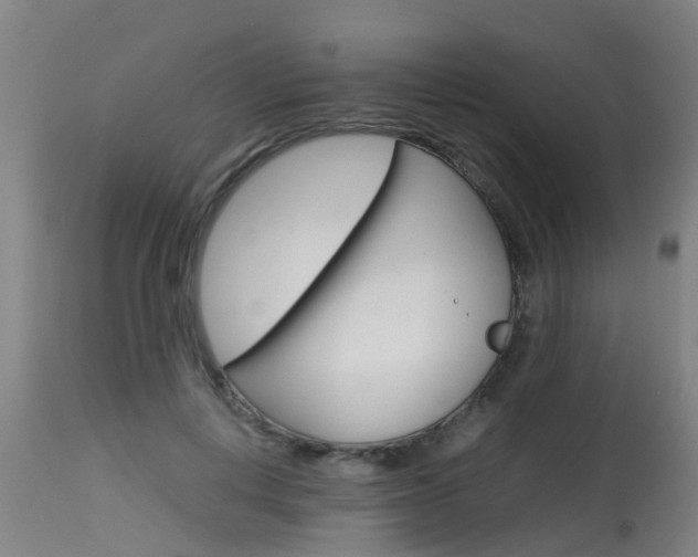 X0000115580648200911100955