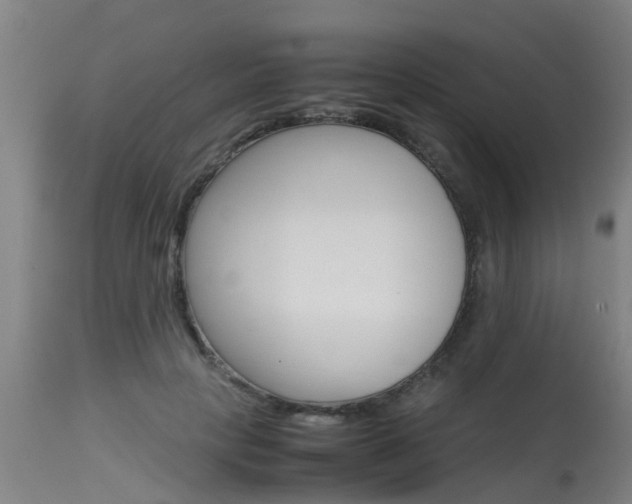 X0000115580649200911100955