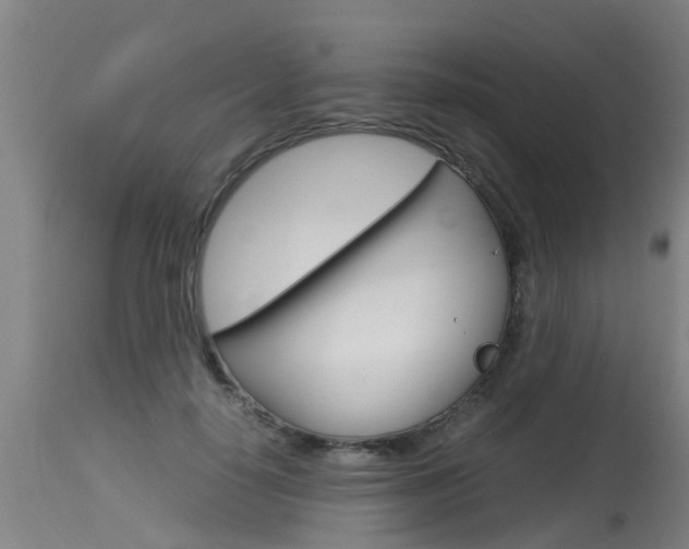 X0000115580650200911100955