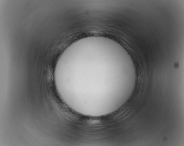 X0000115580651200911100955