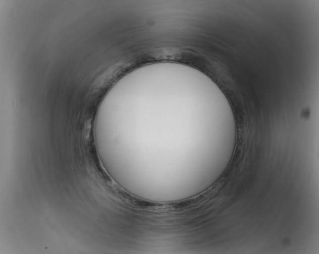 X0000115580652200911100955