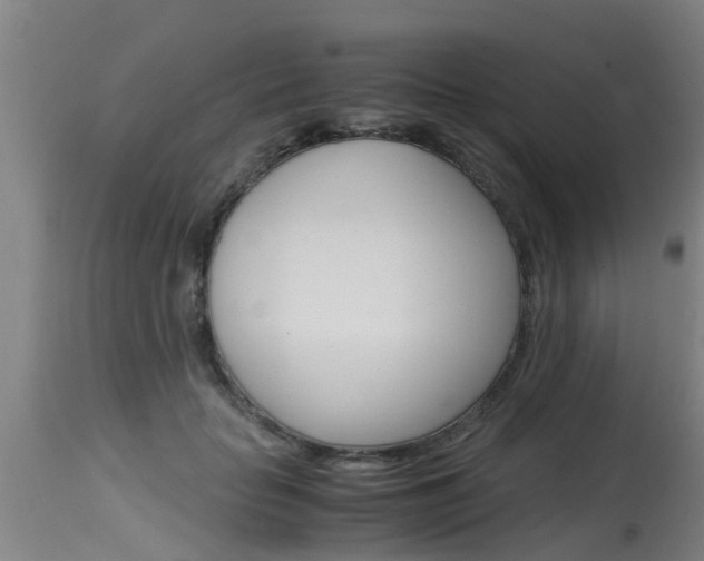 X0000115580653200911100955