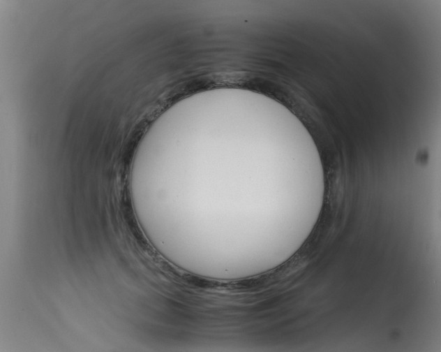 X0000115580655200911100955