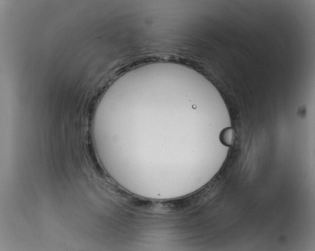 X0000115580656200911100955
