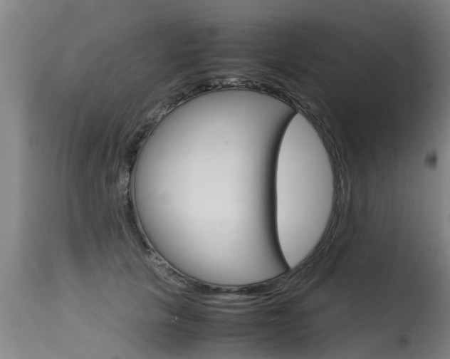 X0000115580657200911100955