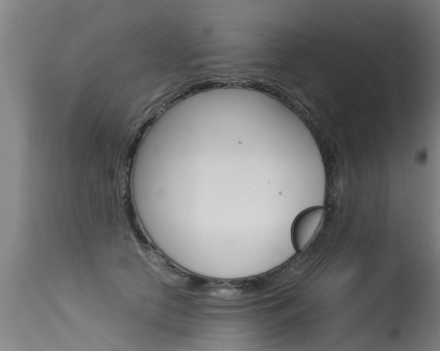 X0000115580658200911100955