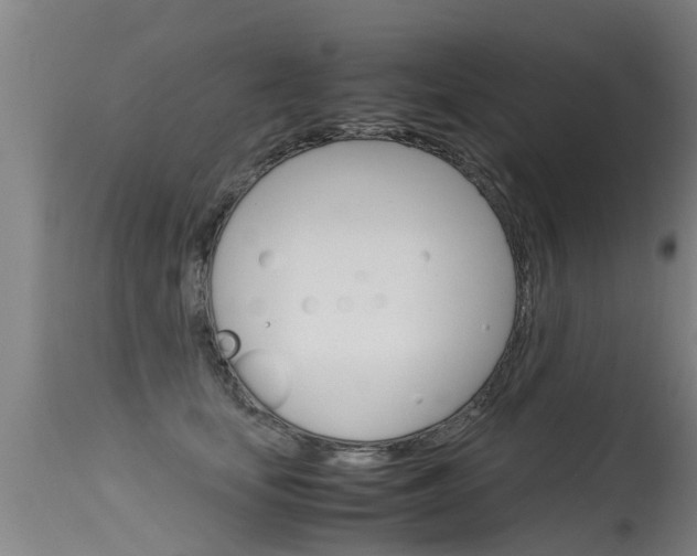 X0000115580659200911100955