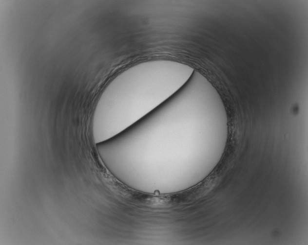 X0000115580660200911100955