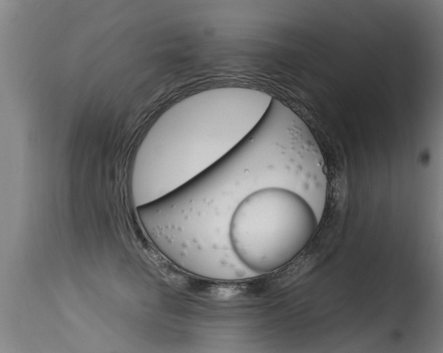X0000115580662200911100955