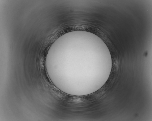 X0000115580663200911100955