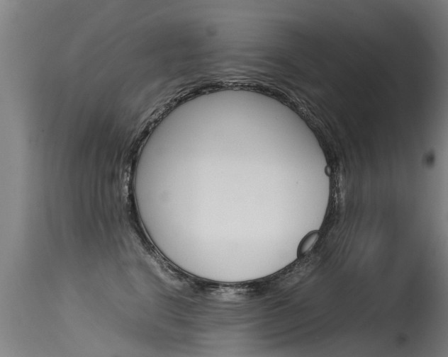 X0000115580664200911100955