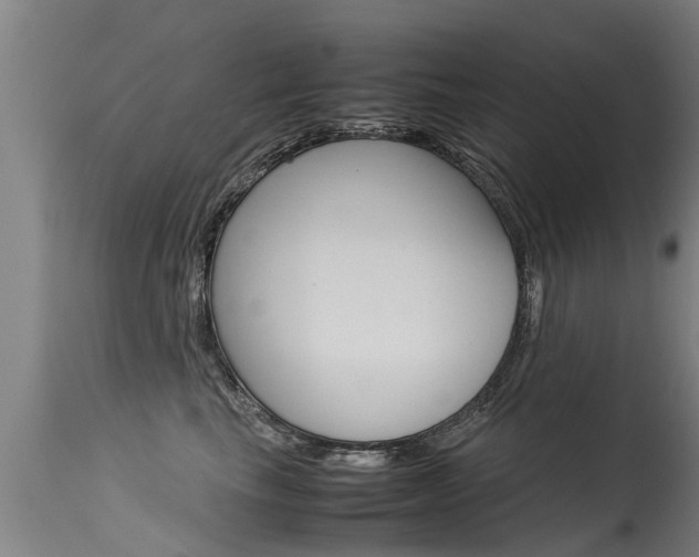 X0000115580665200911100955