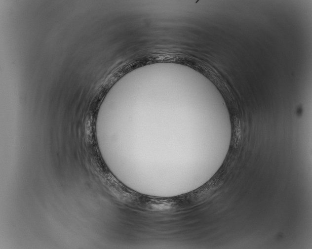 X0000115580667200911100955