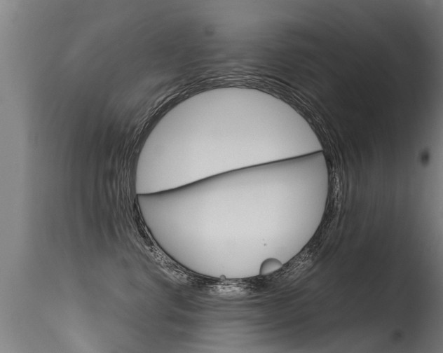X0000115580668200911100955