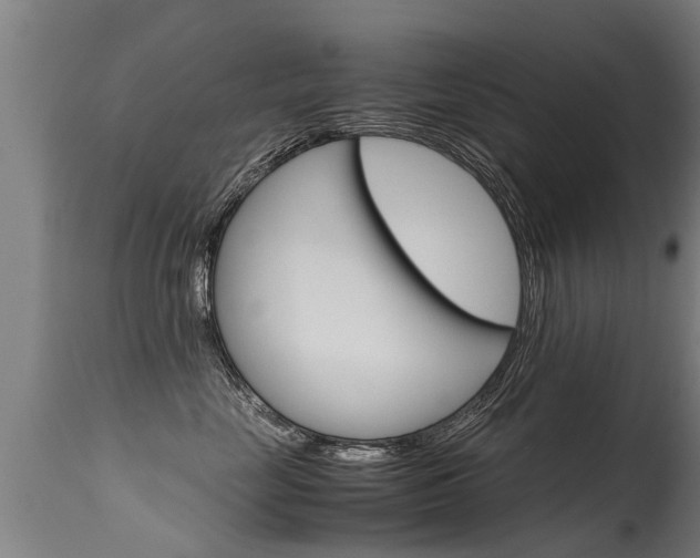 X0000115580669200911100955