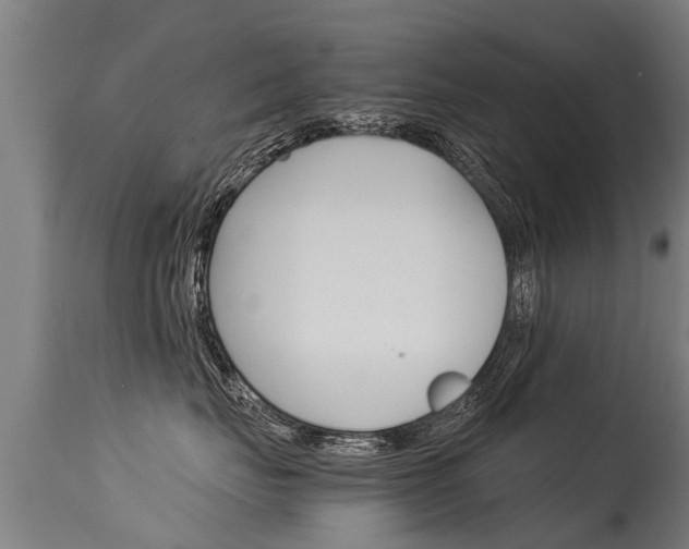 X0000115580671200911100955