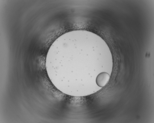X0000115580672200911100955