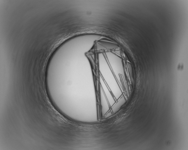 X0000115580673200911100954