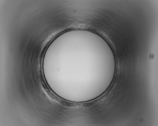 X0000115580674200911100954