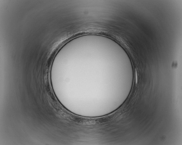 X0000115580675200911100954