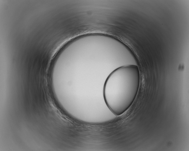X0000115580676200911100954