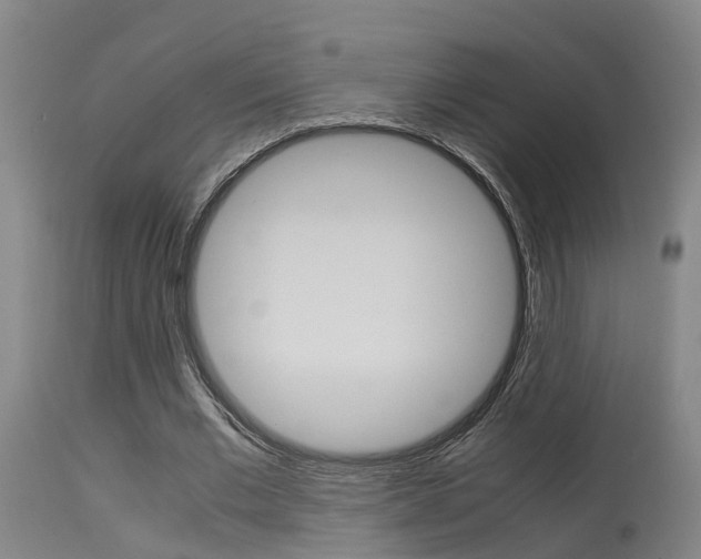 X0000115580677200911100954