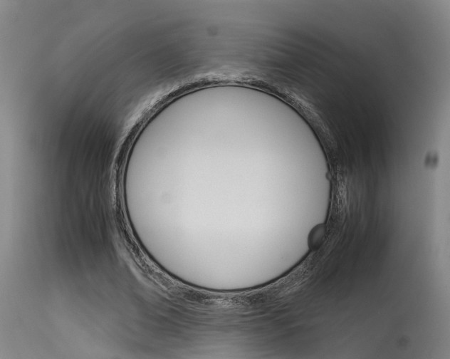 X0000115580678200911100954