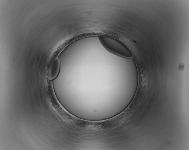 X0000115580680200911100954