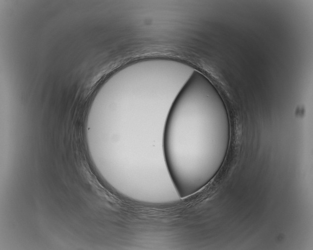 X0000115580681200911100954