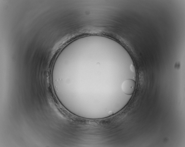 X0000115580682200911100954