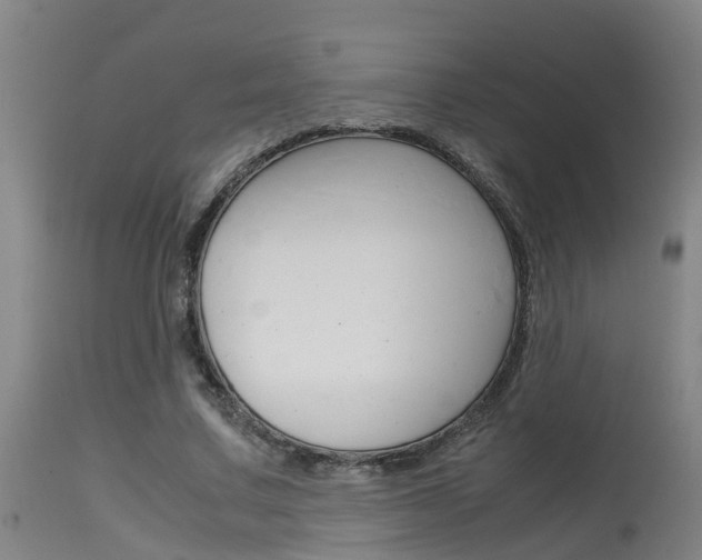 X0000115580683200911100954