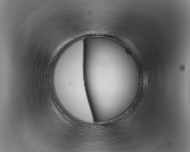X0000115580684200911100954