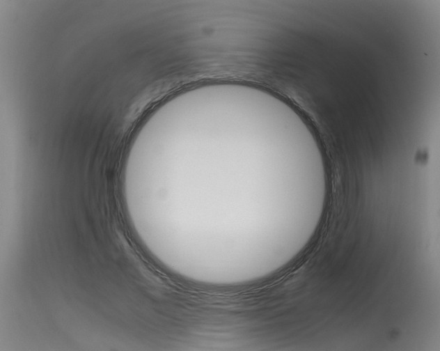 X0000115580685200911100954