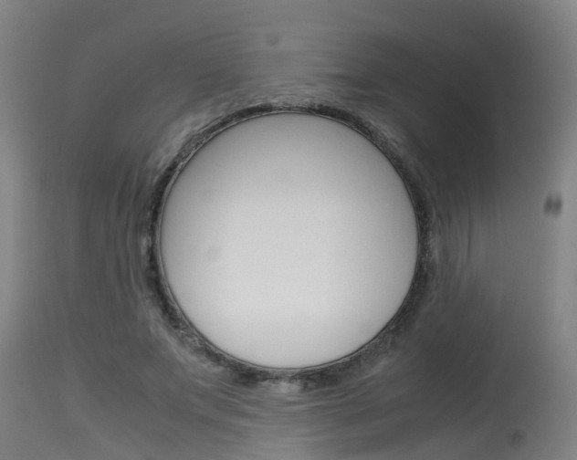 X0000115580687200911100954