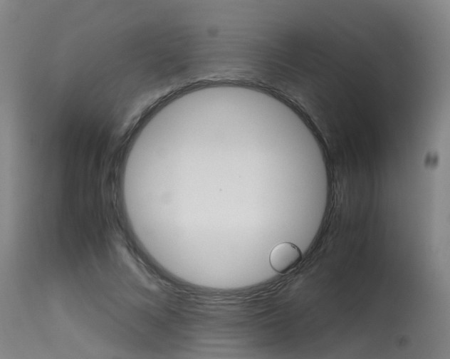 X0000115580688200911100954