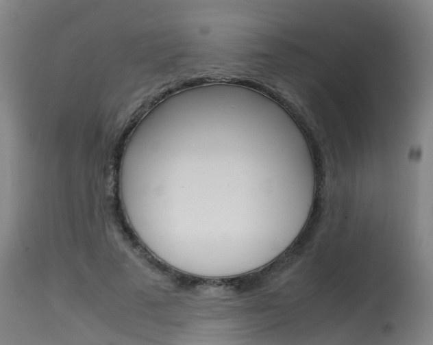 X0000115580689200911100954