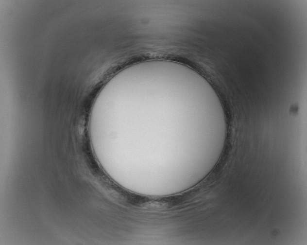 X0000115580691200911100954