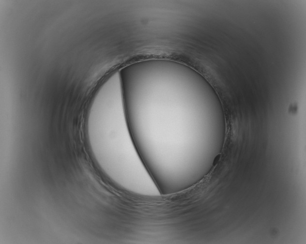 X0000115580692200911100954
