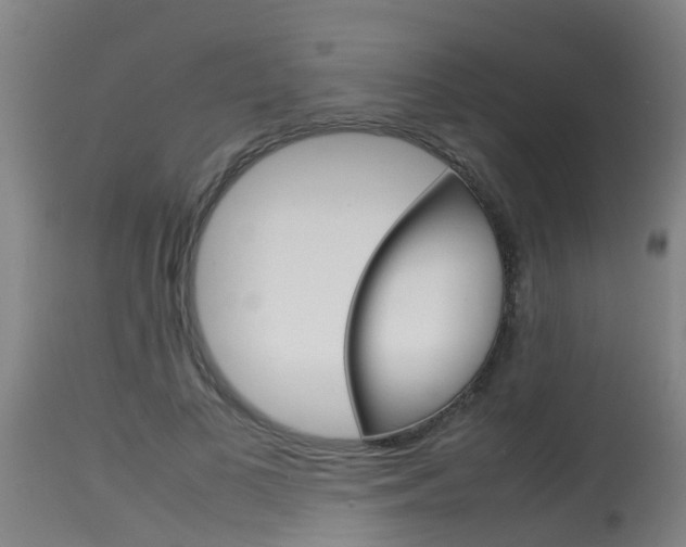 X0000115580693200911100954