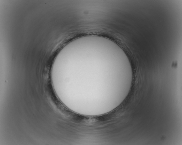 X0000115580695200911100954
