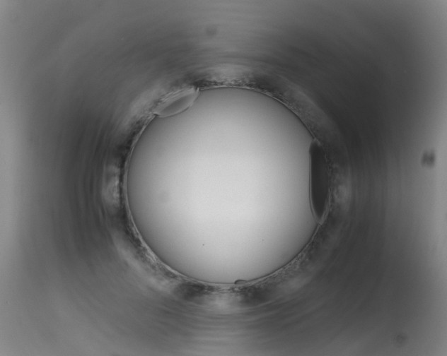 X0000115580696200911100954