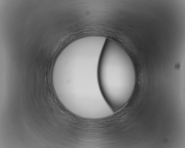 X0000115580697200911100954